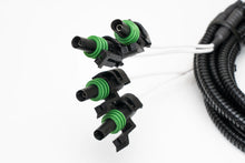 SPV Parts Backlight Y Harness - SPV Harness System (Works with MANY vehicles, See Details)